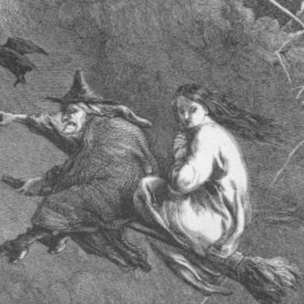 Las escobas de las brujas