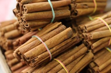ramas de canela