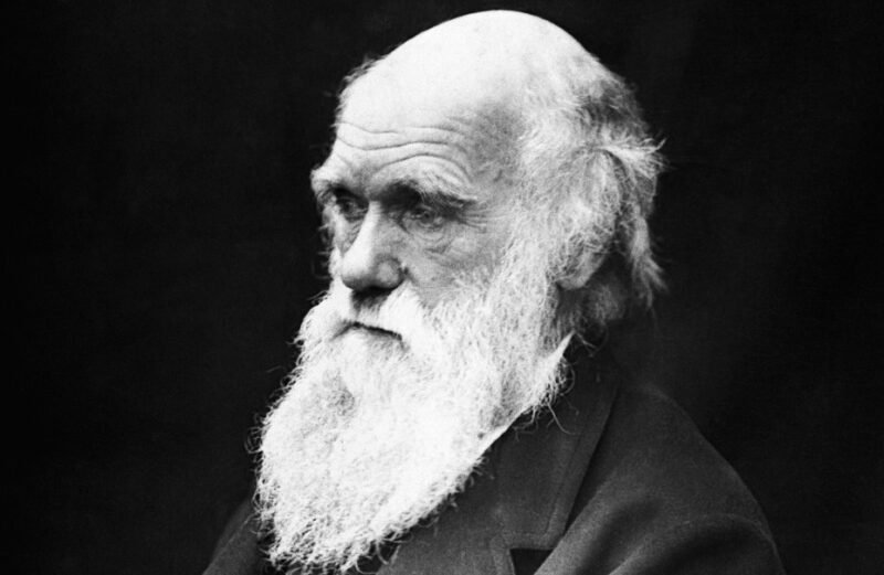 imagen de darwin, la evolución y la magia de existir
